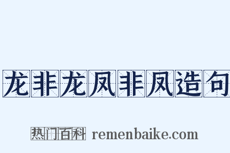 龙非龙凤非凤造句是什么意思的图片
